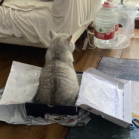 夜果子于2023-06-03 16:46发布的图片