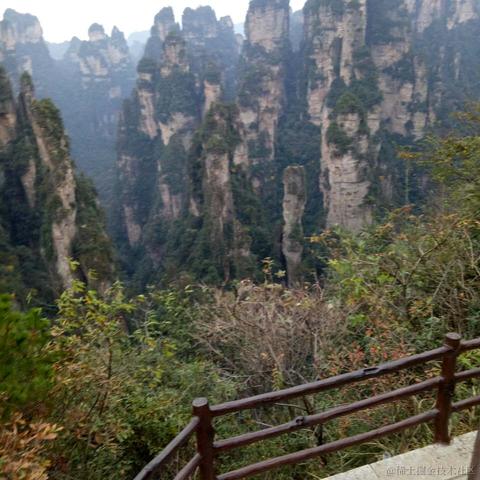 无_妄于2021-09-24 09:55发布的图片