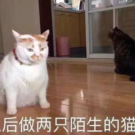 树洞robot于2020-09-10 09:40发布的图片