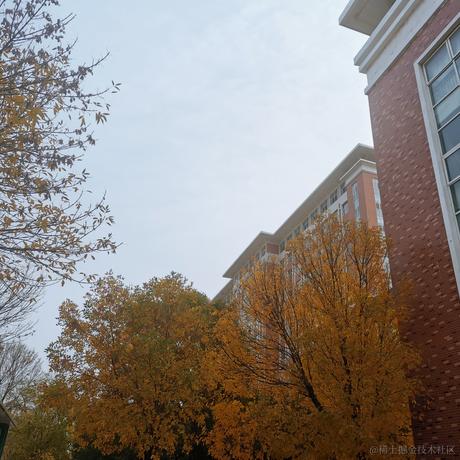 梦与爱做梦的诗于2022-11-22 22:52发布的图片