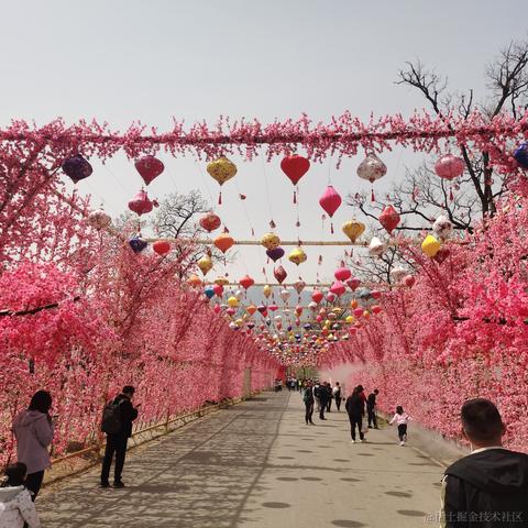 stwang于2023-04-09 17:20发布的图片