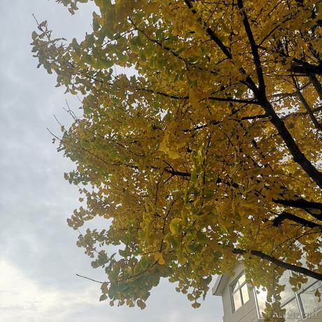 筱舟大摸王于2022-11-27 15:01发布的图片