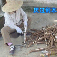 今天周五于2021-04-21 10:08发布的图片