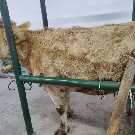 Dear727于2022-11-22 08:08发布的图片