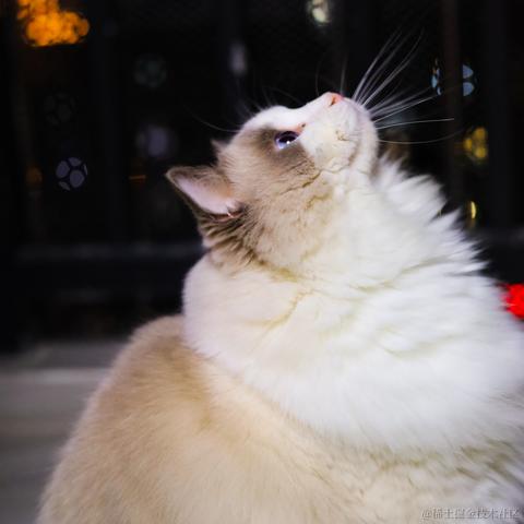 Charlotte于2021-12-23 15:51发布的图片