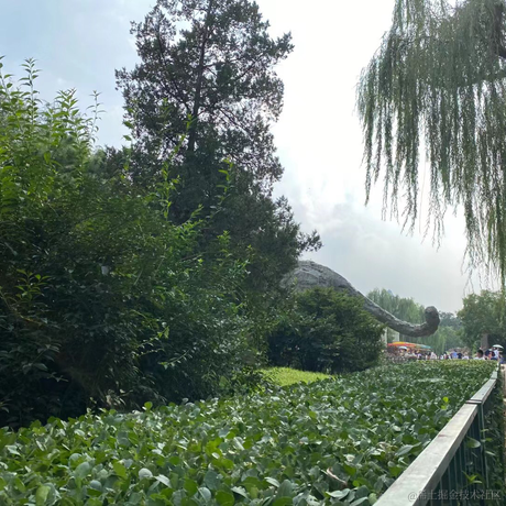 掘金用户爱中奖于2023-05-22 11:32发布的图片