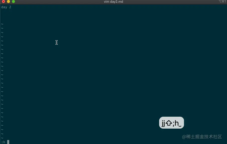 vim.day2.help-leader.gif