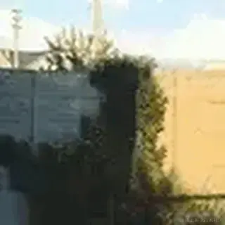 半修缘于2023-08-21 14:59发布的图片