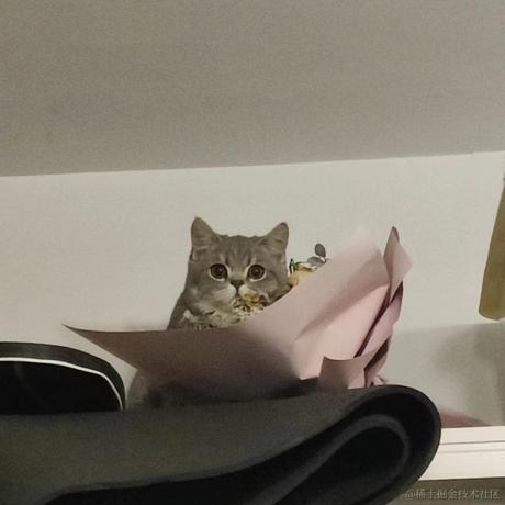 First于2023-05-13 07:15发布的图片