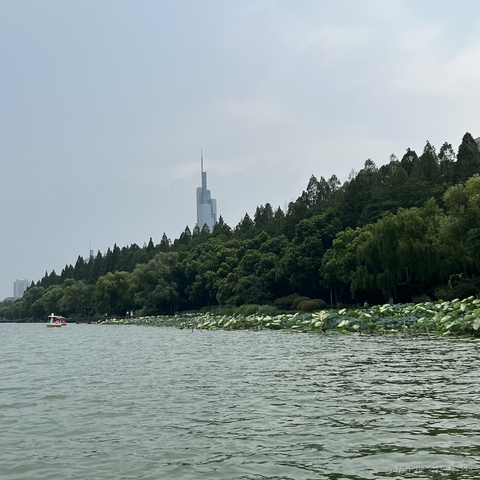 减肥失败N次于2023-08-07 10:51发布的图片