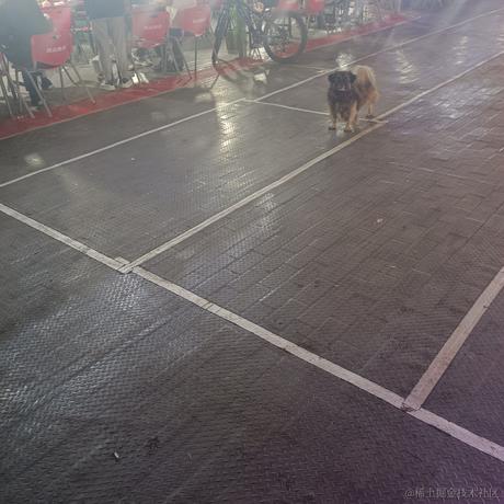 四月一日君寻于2023-07-07 10:27发布的图片