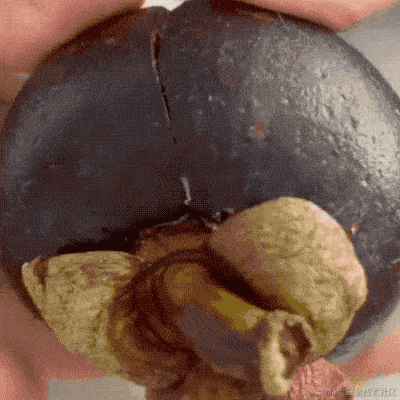 Daniel_01于2022-08-16 14:45发布的图片