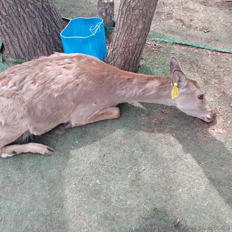 LuciferPluto于2023-05-17 07:38发布的图片