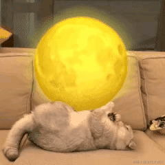 已注销于2022-01-06 09:28发布的图片