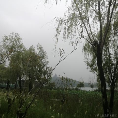 远远619于2022-11-16 19:51发布的图片