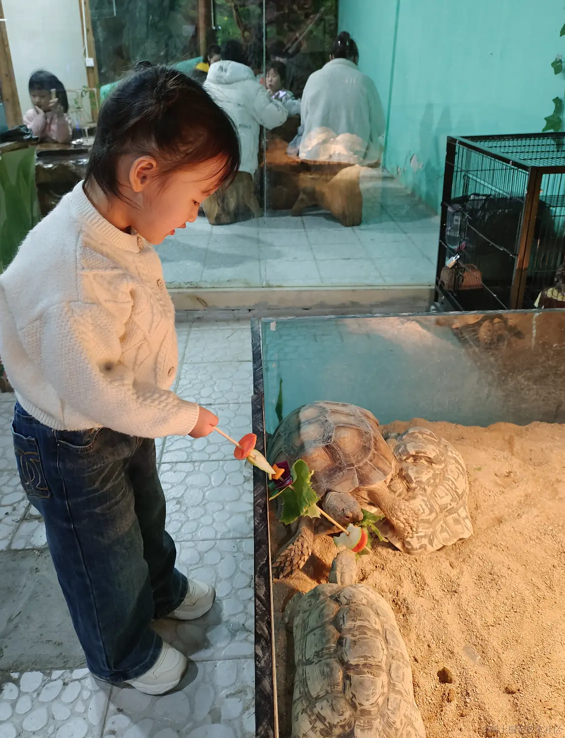 截屏2024-03-10 19.30.04.png