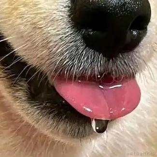 小镇小城于2022-12-03 12:05发布的图片