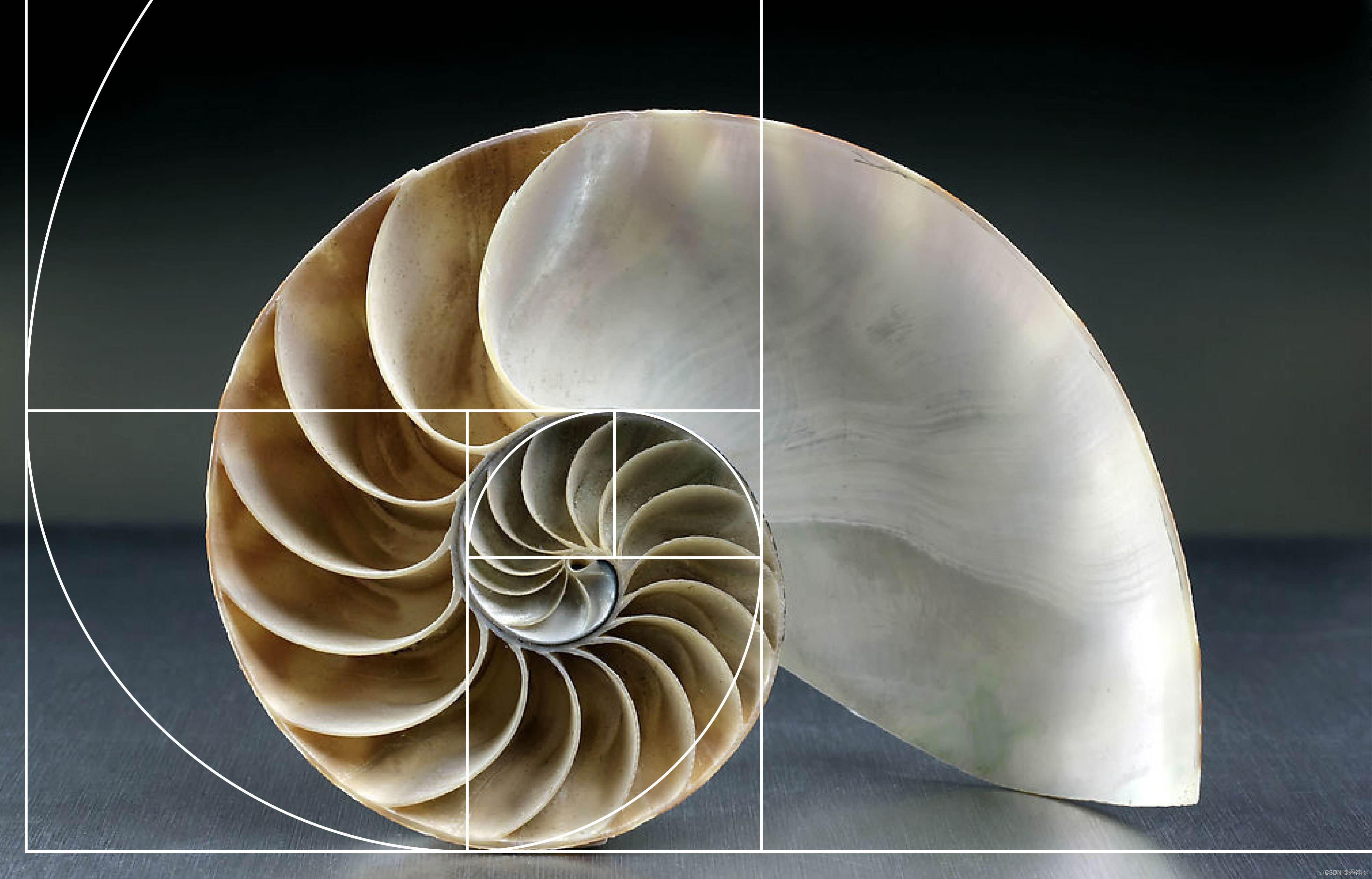 JS闭包应用:通过记忆函数优化递归LeetCode509题:斐波那契数 （通常用 F(n) 表示）形成的序列称为 斐波那- 掘金