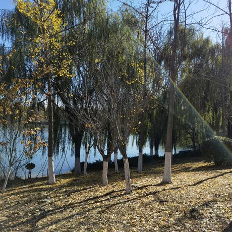 好耶仔仔棒于2022-11-14 10:24发布的图片