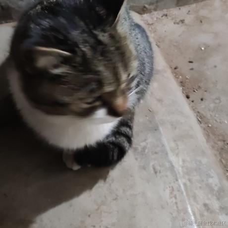 寸光于2022-12-30 11:07发布的图片