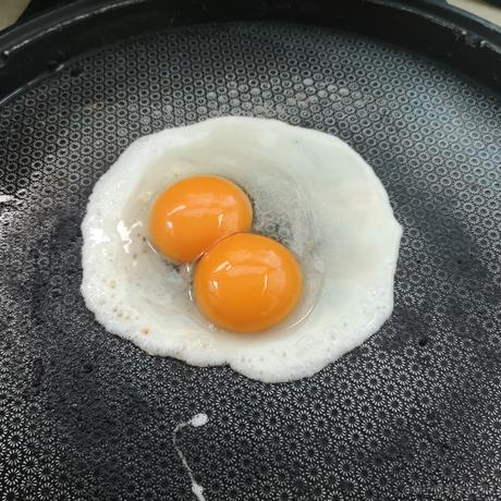 可爱小晚比于2022-11-27 00:23发布的图片