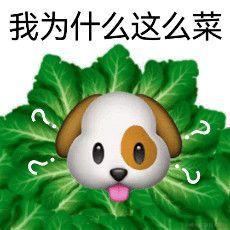 stwang于2023-04-07 16:07发布的图片