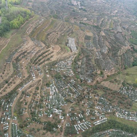 刘一哥GIS于2023-10-05 10:26发布的图片