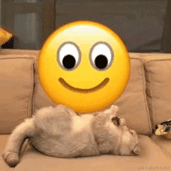 已注销于2022-01-06 09:28发布的图片