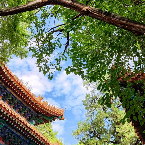 沅芷湘兰于2022-08-12 09:48发布的图片