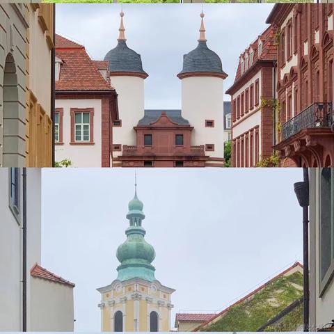 Canivores于2022-11-07 20:56发布的图片