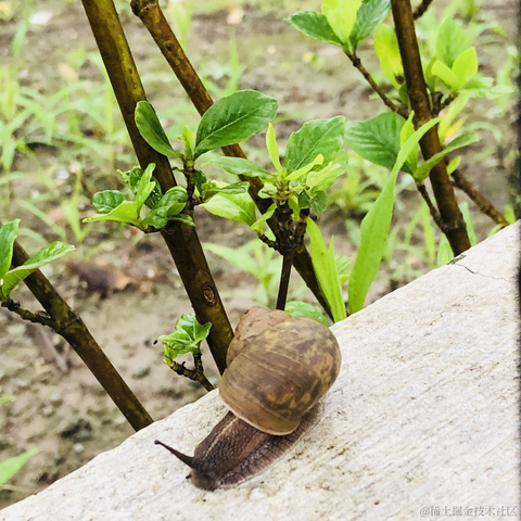 道爷我成了于2023-05-31 21:02发布的图片