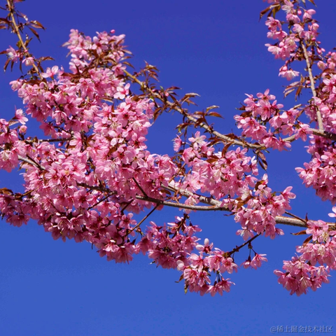 冬日暖阳一片云于2023-03-14 18:06发布的图片