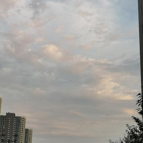 王痘痘于2023-06-25 21:24发布的图片