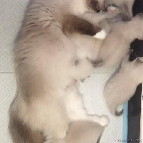 强行天下于2021-07-13 08:58发布的图片