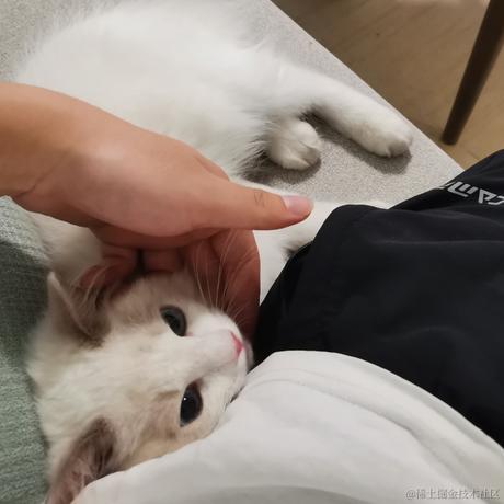 一步步的走于2021-09-24 08:53发布的图片