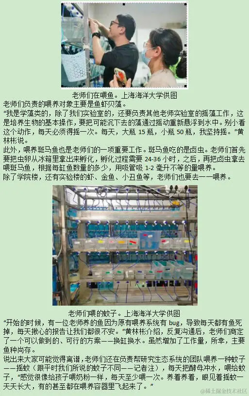 上海一大学教师自述疫情下的工作：在近50个实验室喂鱼2.jpg