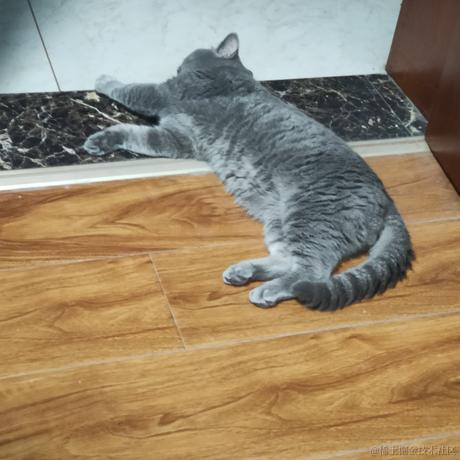 北冥养条鱼于2022-12-01 09:11发布的图片