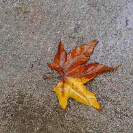 乃贝今天做什么于2022-12-04 16:24发布的图片