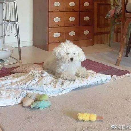 今天宜喝冰阔落于2022-04-18 12:15发布的图片