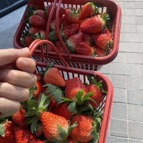 躺平的_韭菜于2022-12-15 14:06发布的图片