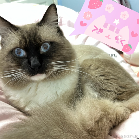 小鲸鱼mm于2021-12-28 09:51发布的图片