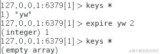 1616554261562.png