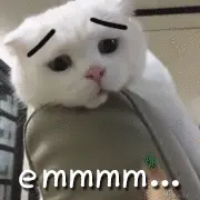 erinnnmrYI.gif