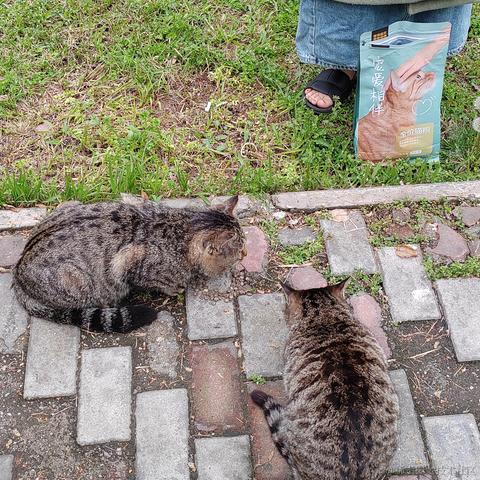 从0开始的go世界于2023-04-19 07:47发布的图片