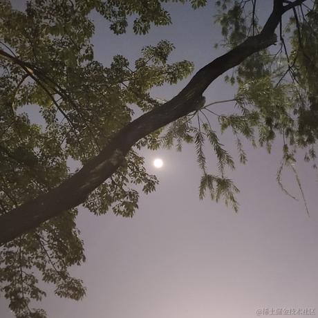 秋阳向晚于2022-11-15 23:13发布的图片