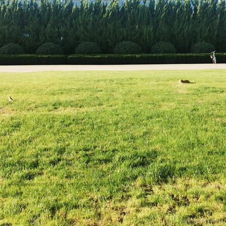 援桌骑士宁宁于2022-12-15 10:20发布的图片