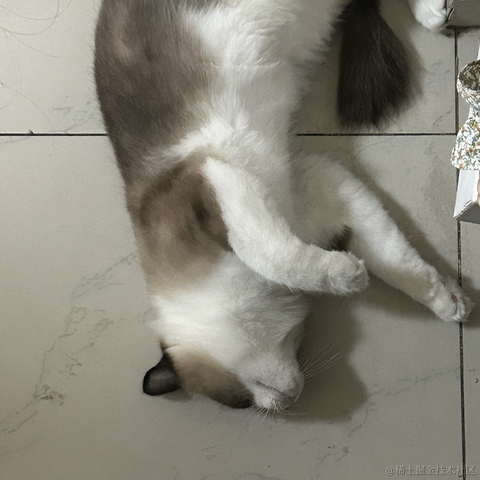 慢慢爬的蜗牛于2023-05-19 15:01发布的图片