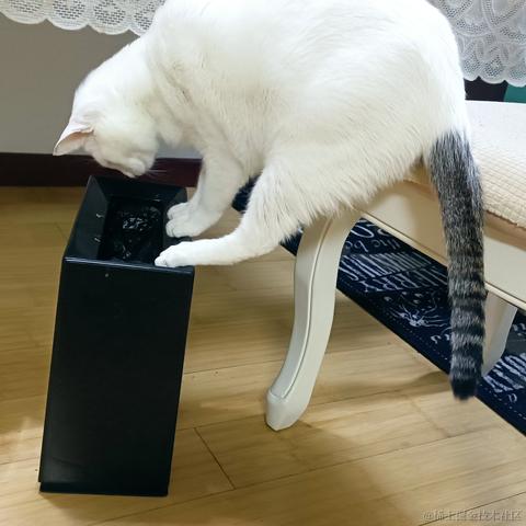 奔跑吧鸡翅于2021-11-15 11:16发布的图片