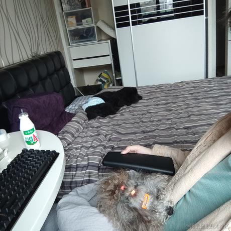 颠三倒四小贝拉于2022-11-27 08:54发布的图片