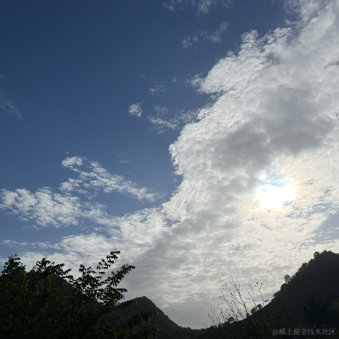 阿刁_于2023-04-29 16:49发布的图片